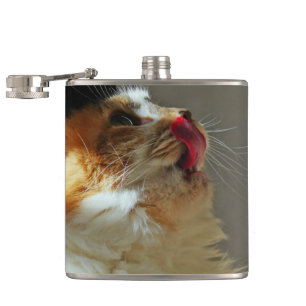 Sweet Cat Sammi Lovely Cute Photograph Hip Flask