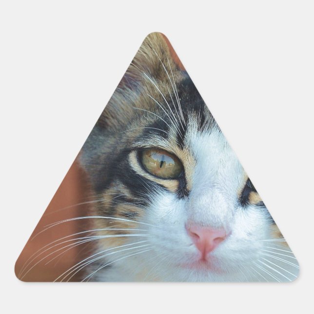 Sweet Cat with enchanting eyes Triangle Sticker (Front)