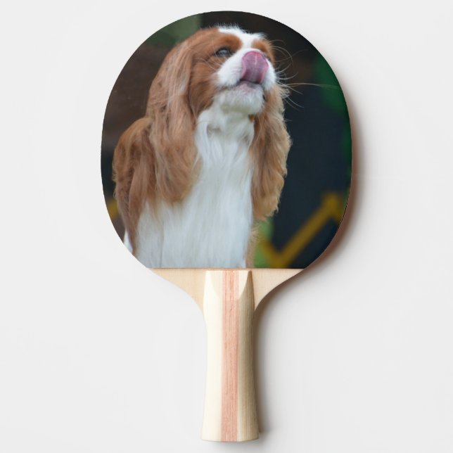 Sweet Cavalier King Charles Spaniel Ping Pong Paddle (Front)