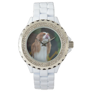 Sweet Cavalier King Charles Spaniel Watch