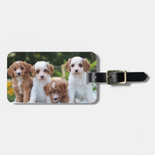 Sweet Cavapoo Puppies Luggage Tag