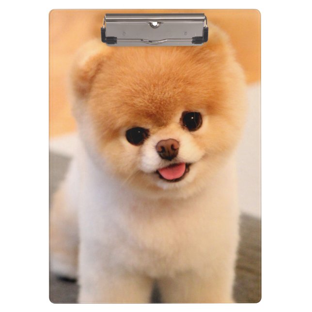 Sweet Charming Pomeranian Unique Clipboard (Front)