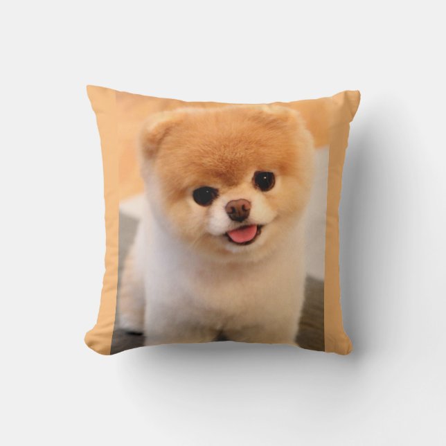 Sweet Charming Pomeranian Unique Cushion (Front)