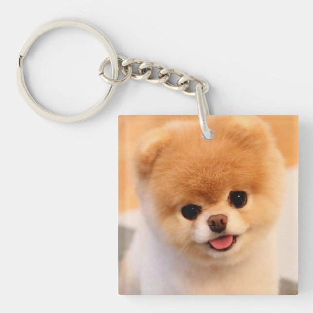 Sweet Charming Pomeranian Unique Key Ring (Front)