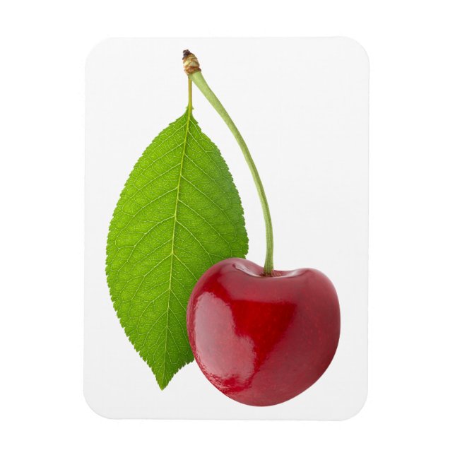 Sweet cherry magnet (Vertical)