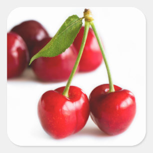 Sweet cherry square sticker