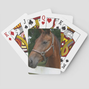 Sweet Chestnut Horse Deck of Cards