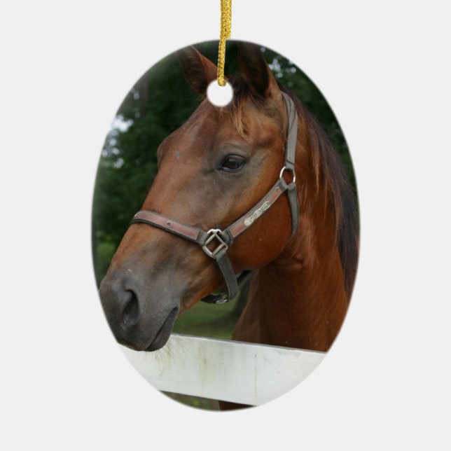 Sweet Chestnut Horse Ornament (Front)