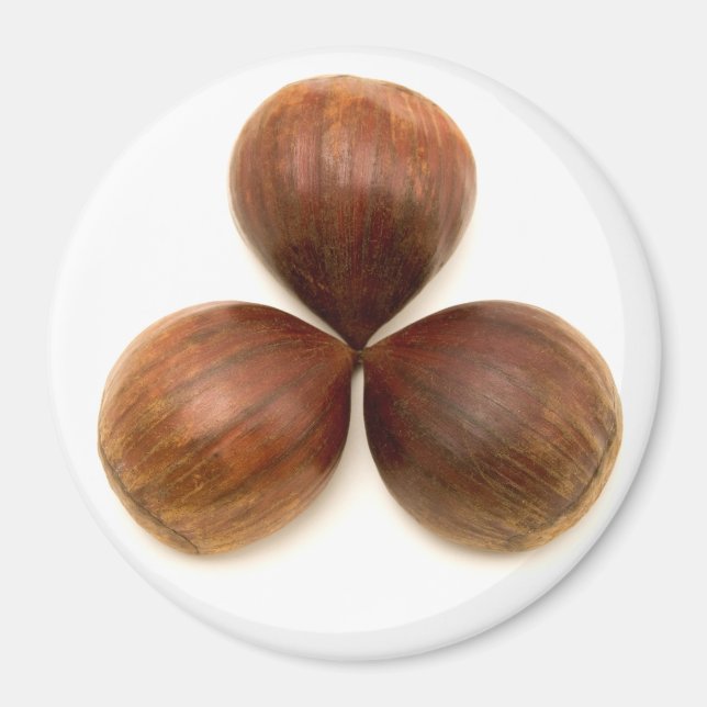 Sweet chestnuts fruits magnet (Front)