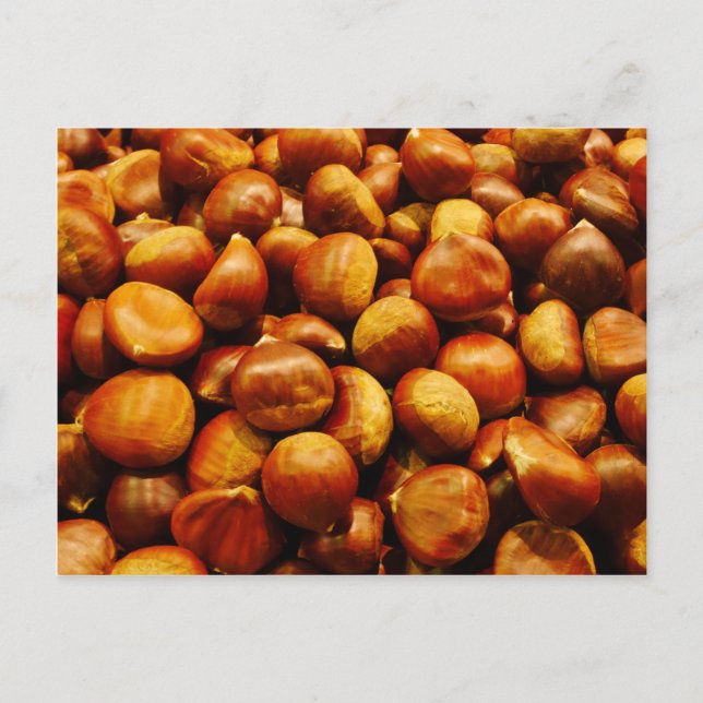 Sweet Chestnuts Postcard (Front)