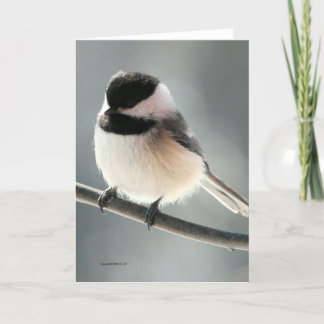 Sweet Chickadee Card