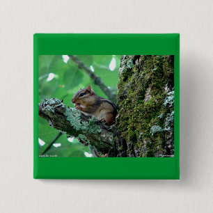 Sweet Chipmunk in a Tree Apparel and Gifts 15 Cm Square Badge