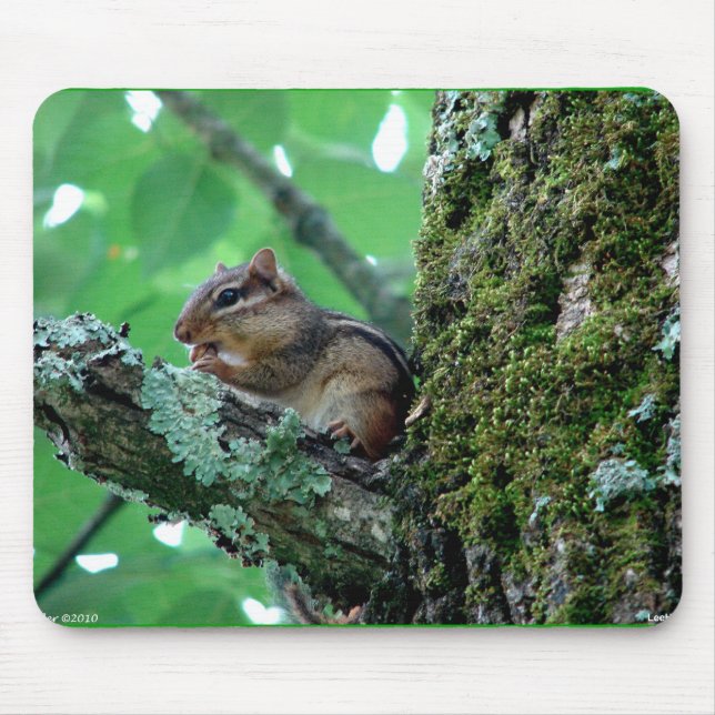Sweet Chipmunk in a Tree Apparel and Gifts Mouse Pad (Front)