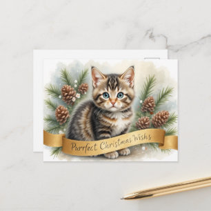 Sweet Christmas Kitten Banner Art Cute Postcard