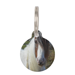 Sweet Connemera Pony Pet Tag