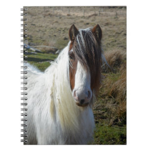 Sweet Connemera Pony Spiral Notebook