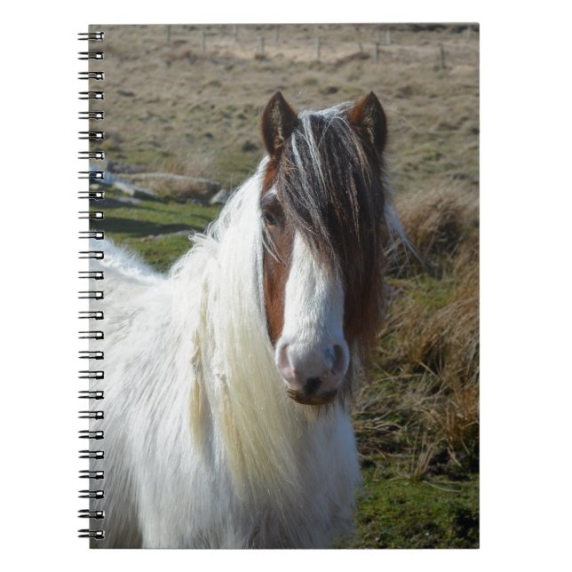 Sweet Connemera Pony Spiral Notebook (Front)
