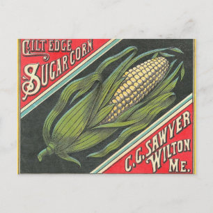 Sweet Corn Postcard