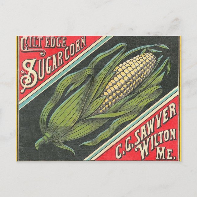 Sweet Corn Postcard (Front)