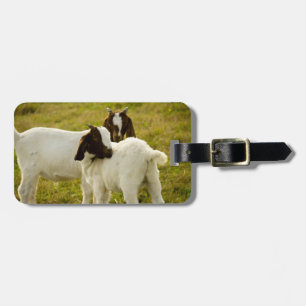Sweet Cute Baby Goats in Pasture Luggage Tag