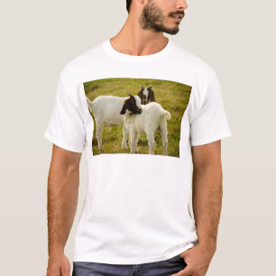 Sweet Cute Baby Goats in Pasture T-Shirt