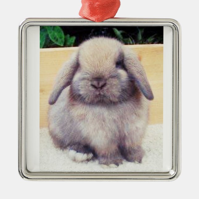 ****SWEET/CUTE BUNNY**** ORNAMENT (Front)