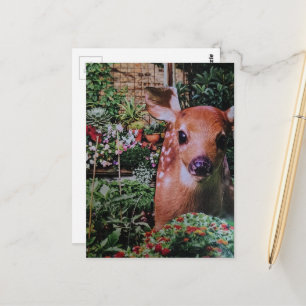 Sweet Cute Fawn in the Garden Collage Postcard