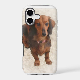 SWEET DACHSHUND