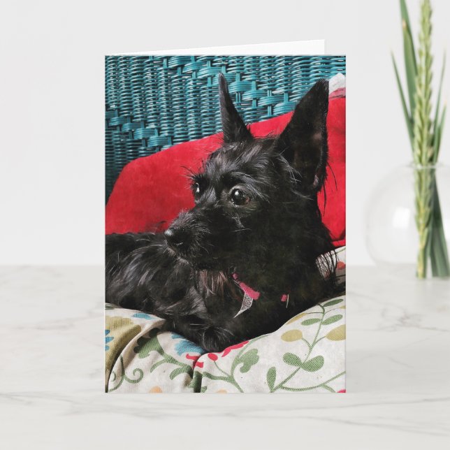 Sweet Dog Greeting Card (Front)