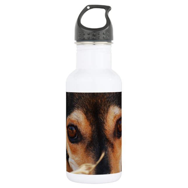Sweet dog laying in hay 532 ml water bottle (Front)