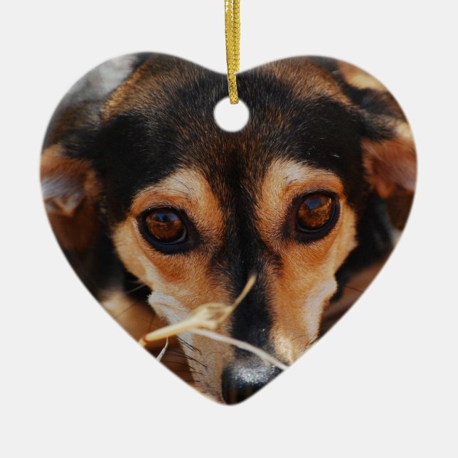 Sweet dog laying in hay ceramic tree decoration (Front)