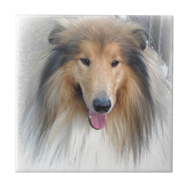 Sweet Dog Tile (Front)