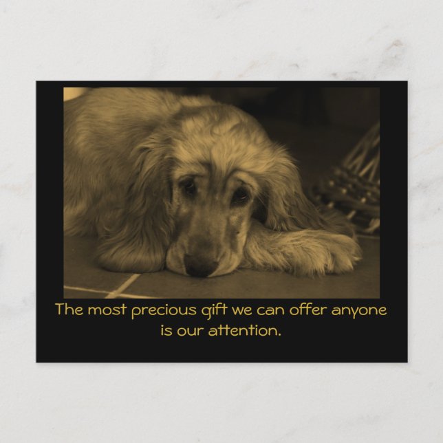 Sweet Dog with Inspirational Quote. Postcard (Front)