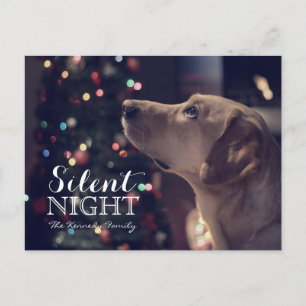 Sweet Doggie Looking At Tree Postcard