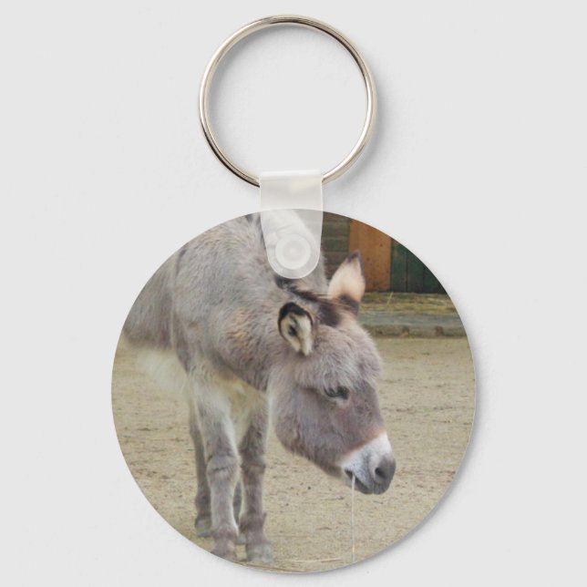 Sweet Donkey, Animal Gray, Horse Family Key Ring (Front)