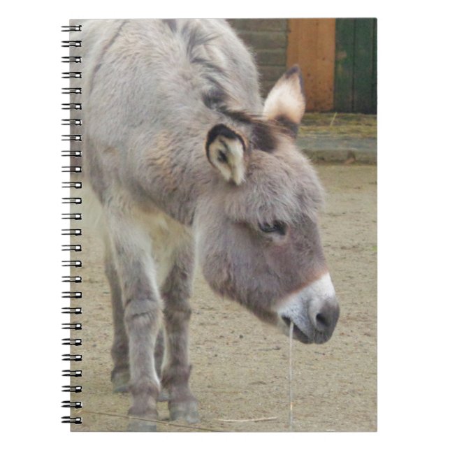 Sweet Donkey, Animal Grey, Horse Family Spiral Notebook (Front)