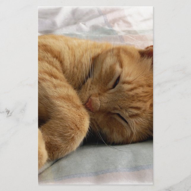 Sweet Dreams (Front)