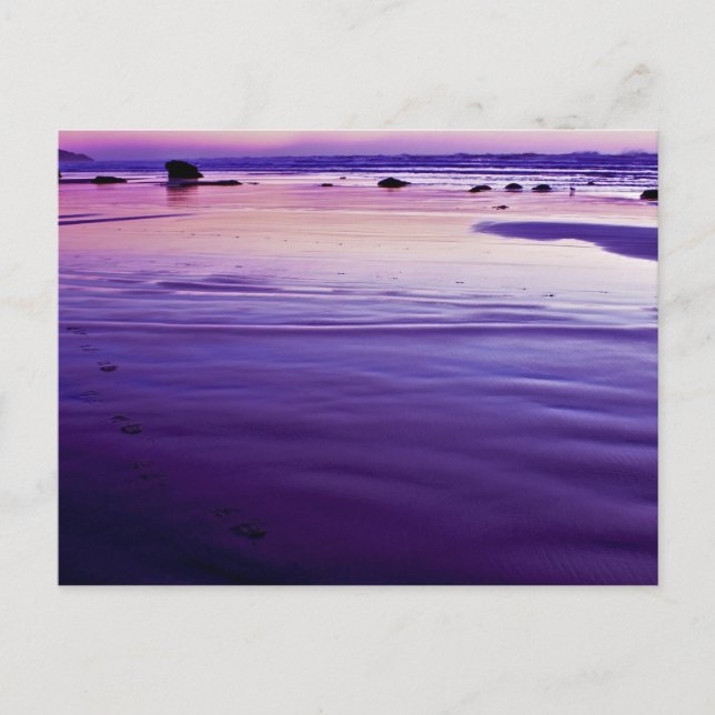 Sweet Dreams - Bandon, Oregon Postcard (Front)