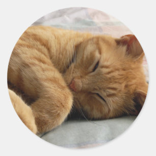 Sweet Dreams Classic Round Sticker