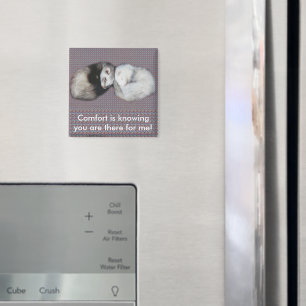 Sweet Dreams Ferrets Magnet