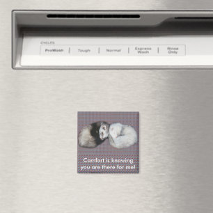 Sweet Dreams Ferrets Magnet