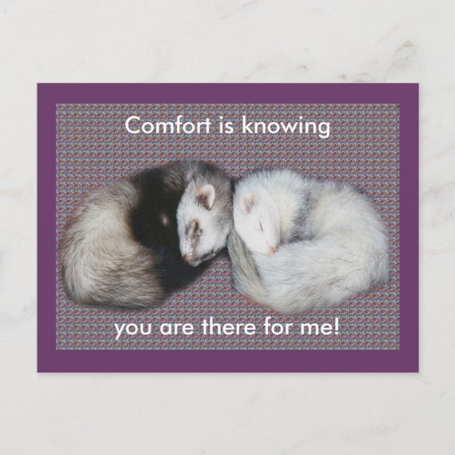 Sweet Dreams Ferrets Postcard (Front)