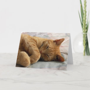 Sweet Dreams Greeting Card