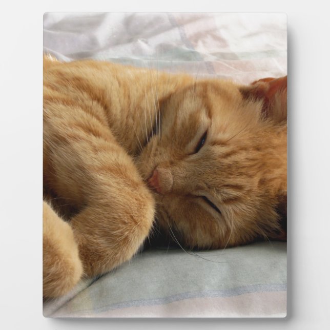 Sweet Dreams Plaque (Front)