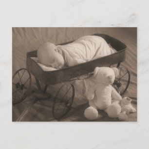 Sweet Dreams Postcard