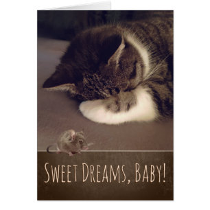 Sweet Dreams Sleeping Kitty (Text customisable)
