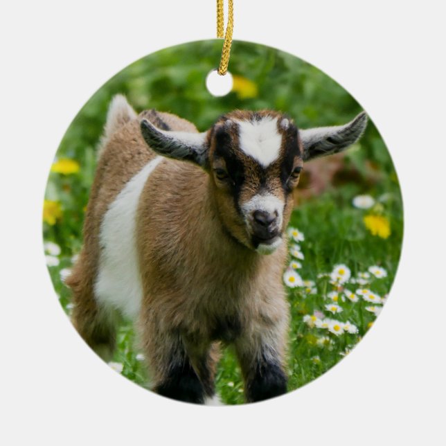 Sweet Dwarf Goat Kid in flowers Ceramic Tree Decoration (Front)