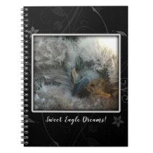 Sweet Eagle Dreams
