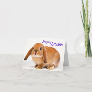 Sweet Easter Card with Bunny