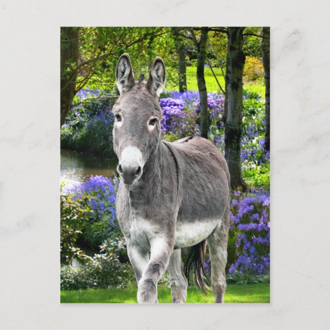 "Sweet Easter" Postcard (Front)